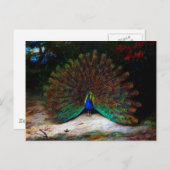 Peacock en Peacock Butterfly Briefkaart (Voorkant / Achterkant)
