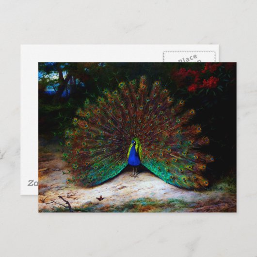 Peacock en Peacock Butterfly Briefkaart (Voorkant / Achterkant)