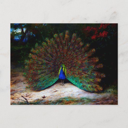 Peacock en Peacock Butterfly Briefkaart (Voorkant)