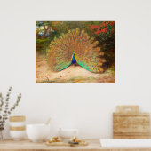 Peacock en Peacock Butterfly Poster (Keuken)