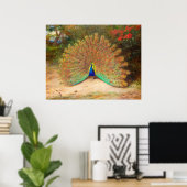 Peacock en Peacock Butterfly Poster (Thuiskantoor)