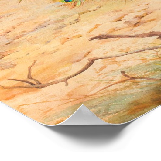 Peacock en Peacock Butterfly Poster (Hoek)