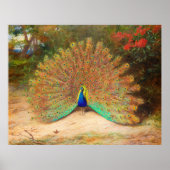 Peacock en Peacock Butterfly Poster (Voorkant)