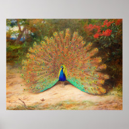Peacock en Peacock Butterfly Poster
