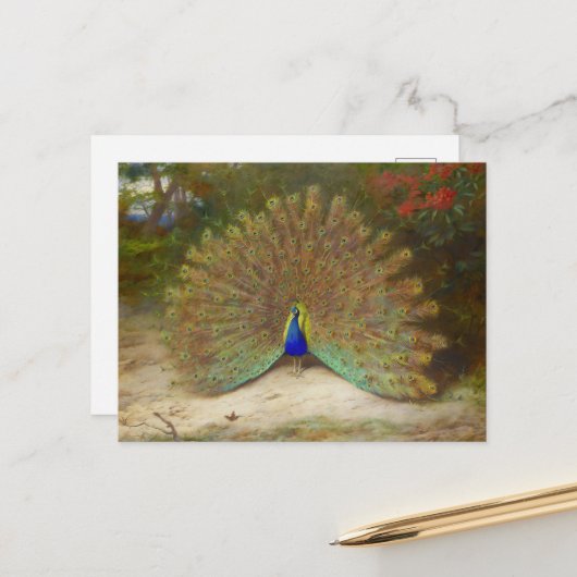Peacock en Peacock Vlinder, Kunstillustratie Briefkaart (Voorkant / Achterkant in situ)
