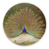 Peacock en Peacock Vlinder, Kunstillustratie Keramische Knop (Voorkant)
