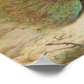 Peacock en Peacock Vlinder, Kunstillustratie Poster (Hoek)