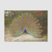 Peacock en Peacock Vlinder, Kunstillustratie Tissuepapier (Voorkant)
