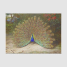 Peacock en Peacock Vlinder, Kunstillustratie