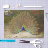 Peacock en Peacock Vlinder, Kunstillustratie Tissuepapier (Craft)