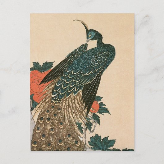 Peacock en pony's van Hiroshige, Japanse kunst Briefkaart (Voorkant)