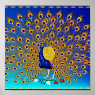 Peacock en Rozen breed Poster