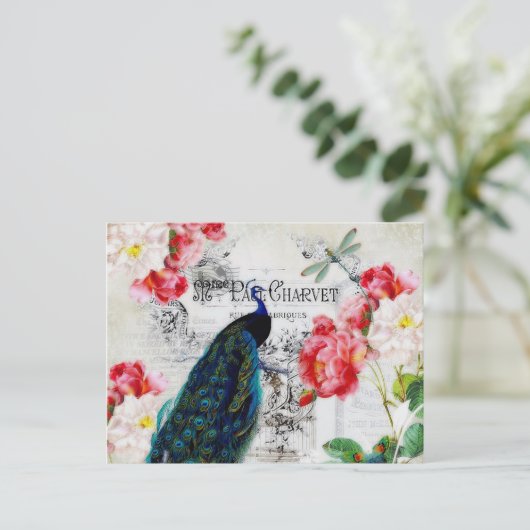Peacock en rozen briefkaart (Staand voorkant)