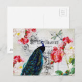Peacock en rozen briefkaart (Voorkant / Achterkant)