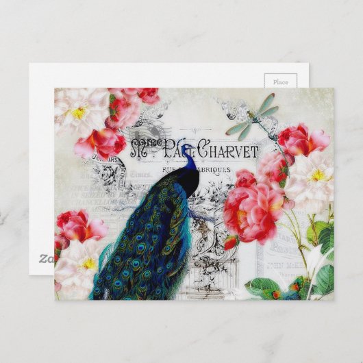 Peacock en rozen briefkaart (Voorkant / Achterkant)