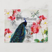 Peacock en rozen briefkaart (Voorkant)