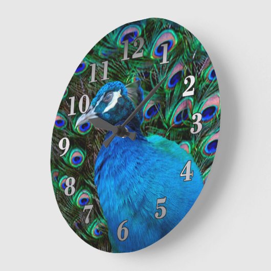 Peacock en Veer Grote Klok (Hoek)