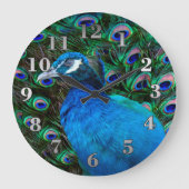 Peacock en Veer Grote Klok (Voorkant)