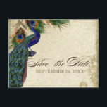 Peacock en veren Formaal sparen de Datum Aqua Blue Aankondigingskaart<br><div class="desc">PAPIERSELECTIE: Briefkaarten worden afgedrukt op een zeer mooie, zeer zware voorraad die glanzend is aan de voorkant en matte afwerking aan de achterkant. COLOR PALETTE: tan, royal blue, green, en roest. ONTWERP: Dit antiek , geïnspireerde bruiloft collectie heeft een volledig samenstel van producten en kan in verschillende kleuren worden gemaakt....</div>