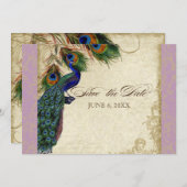 Peacock en veren Formaal sparen de Datum Aqua Blue Kaart (Voorkant / Achterkant)