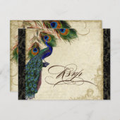 Peacock en veren Formele RSVP-respons Black Tan RSVP Kaartje (Voorkant / Achterkant)