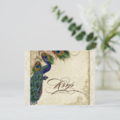 Peacock en veren Formele RSVP-responscarrière RSVP Kaartje (Staand voorkant)