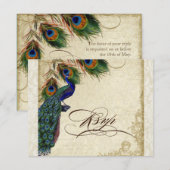 Peacock en veren Formele RSVP-responscarrière RSVP Kaartje (Voorkant / Achterkant)