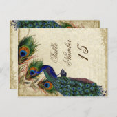 Peacock en veren Formele weddenschappen Briefkaart (Voorkant / Achterkant)