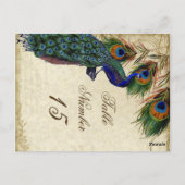 Peacock en veren Formele weddenschappen Briefkaart (Achterkant)