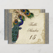 Peacock en veren Formele weddenschappen Briefkaart (Voorkant / Achterkant)