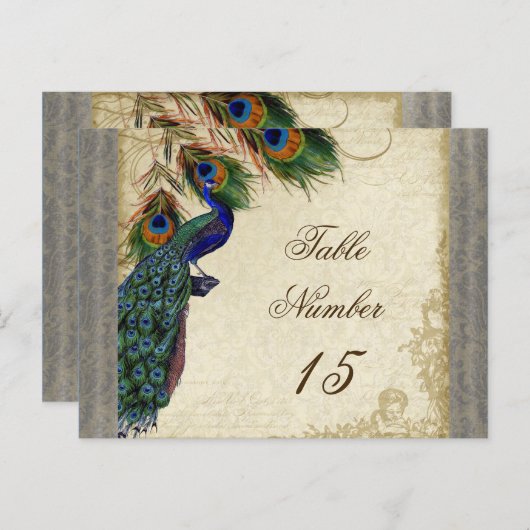 Peacock en veren Formele weddenschappen Briefkaart (Voorkant / Achterkant)