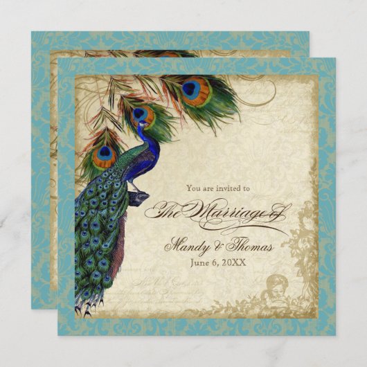 Peacock en veren Plechtige bruiloft Noite Aqua Blu Kaart (Voorkant / Achterkant)