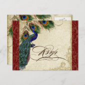 Peacock en veren Plechtige bruiloft RSVP Reactie Uitnodiging Briefkaart (Voorkant / Achterkant)