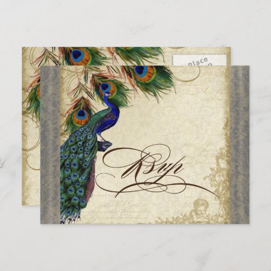 Peacock en veren Plechtige bruiloft RSVP Reactie Uitnodiging Briefkaart (Voorkant / Achterkant)
