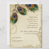 Peacock en Vrijgezellenfeest van veren Kaart (Achterkant)