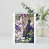 Peacock en witte duven schilderen vogels briefkaart (Staand voorkant)