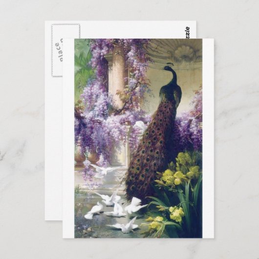 Peacock en witte duven schilderen vogels briefkaart (Voorkant / Achterkant)