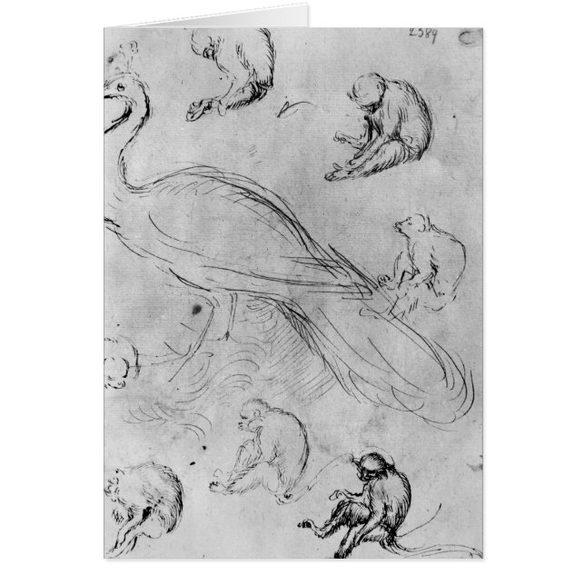 Peacock en zes apen (Voorkant)