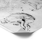 Peacock en zes apen poster (Hoek)