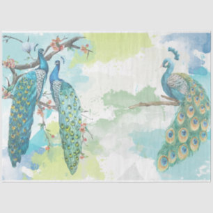 Peacock Ephemera 2 Tissuepapier