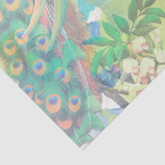Peacock Ephemera 3 Tissuepapier (Detail)