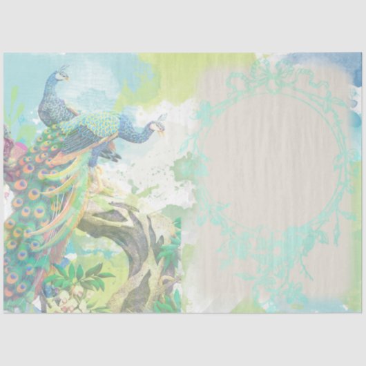 Peacock Ephemera 3 Tissuepapier (Voorkant)