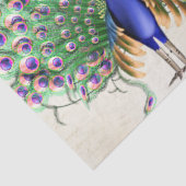 Peacock Ephemera 6 Tissuepapier (Detail)