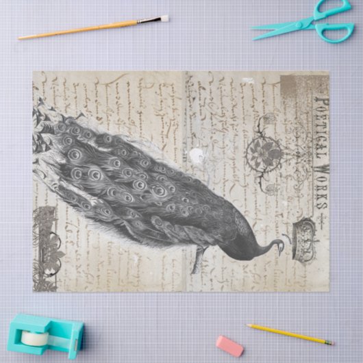 Peacock Ephemera Collage Tissuepapier (Craft)