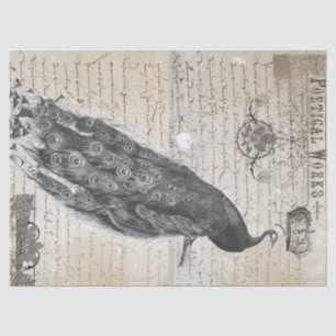 Peacock Ephemera Collage Tissuepapier