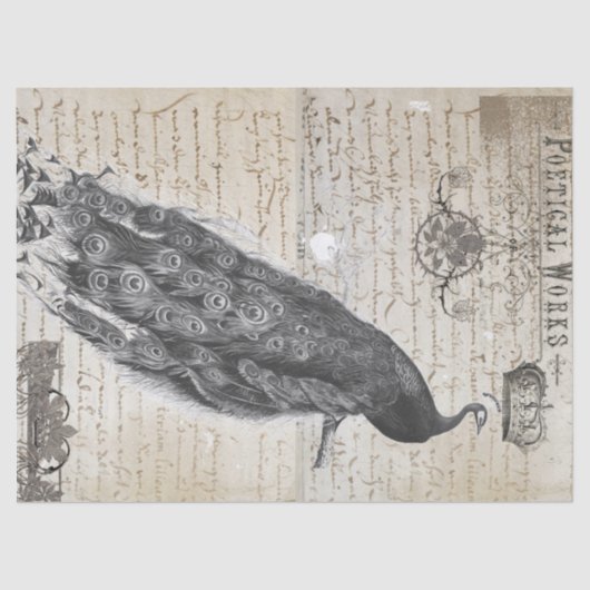 Peacock Ephemera Collage Tissuepapier (Voorkant)