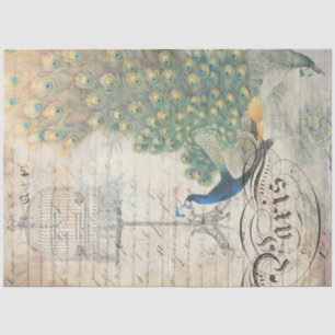 Peacock Ephemera Decoupage Paper right Tissuepapier