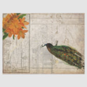 Peacock Ephemera-ontkoppelpapier Tissuepapier (Voorkant)