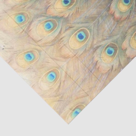 Peacock Ephemera-ontkoppelpapier Tissuepapier (Detail)