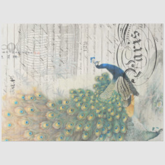 Peacock Ephemera-ontkoppelpapier Tissuepapier